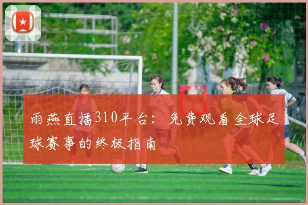 雨燕直播310平台：免费观看全球足球赛事的终极指南