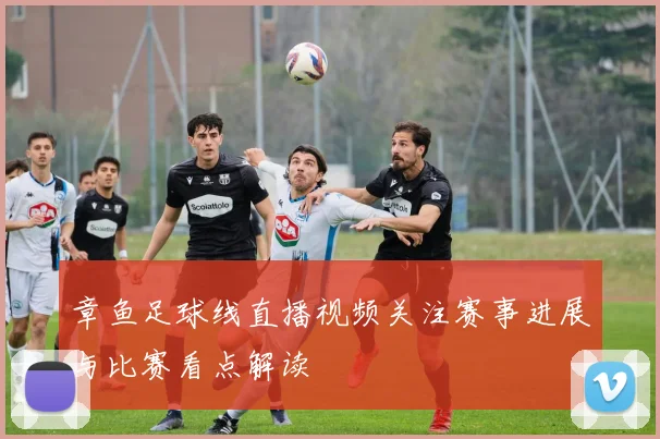 章鱼足球线直播视频关注赛事进展与比赛看点解读