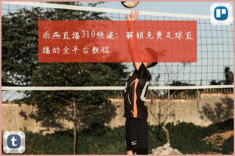 雨燕直播310频道:解锁免费足球直播的全平台教程